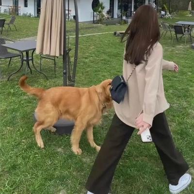 麻烦中的女人