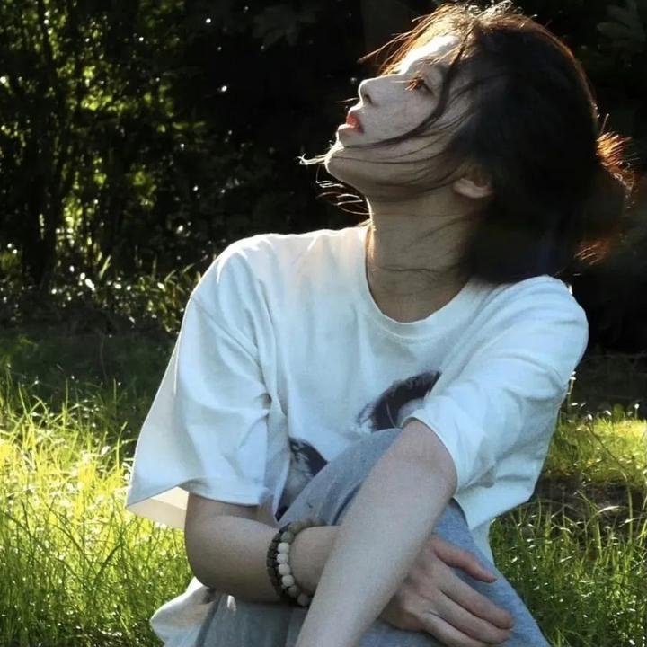 盗影谜情